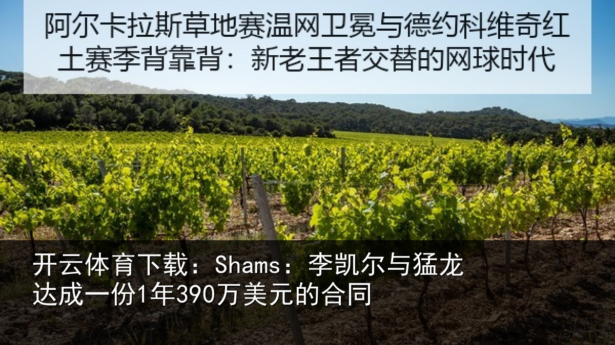 开云体育下载:Shams:李凯尔与猛龙达成相关情况同